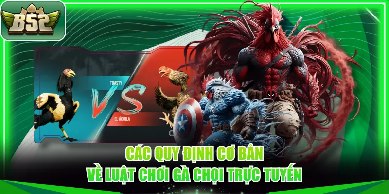 Các quy định cơ bản về luật chơi gà chọi trực tuyến
