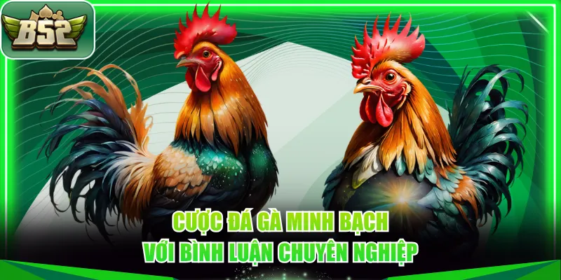 Cược đá gà minh bạch với bình luận chuyên nghiệp