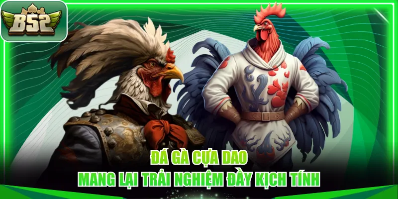 Đá gà cựa dao mang lại trải nghiệm đầy kịch tính