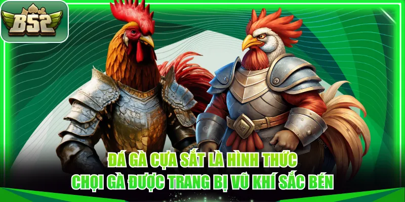 Đá gà cựa sắt là hình thức chọi gà được trang bị vũ khí sắc bén