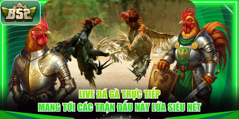 Live đá gà trực tiếp mang tới các trận đấu nảy lửa siêu nét