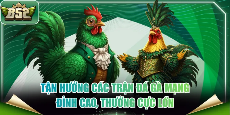 Đá gà mạng