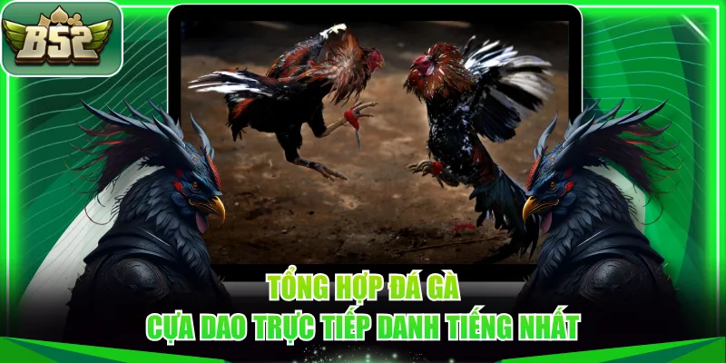 Tổng hợp đá gà cựa dao trực tiếp danh tiếng nhất